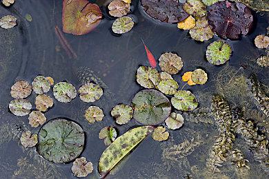 《合金弹头：战略版》Steam页面公布配置需求